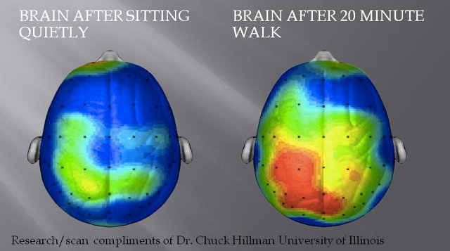 3025957-inline-i-1-what-happens-to-our-brains-when-we-exercise-and-how-it-makes-us-happier